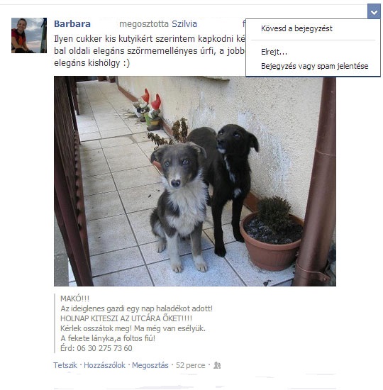 Mit tegyél, ha az ismerősöd zavar Facebookon Facebook poszt elrejtése